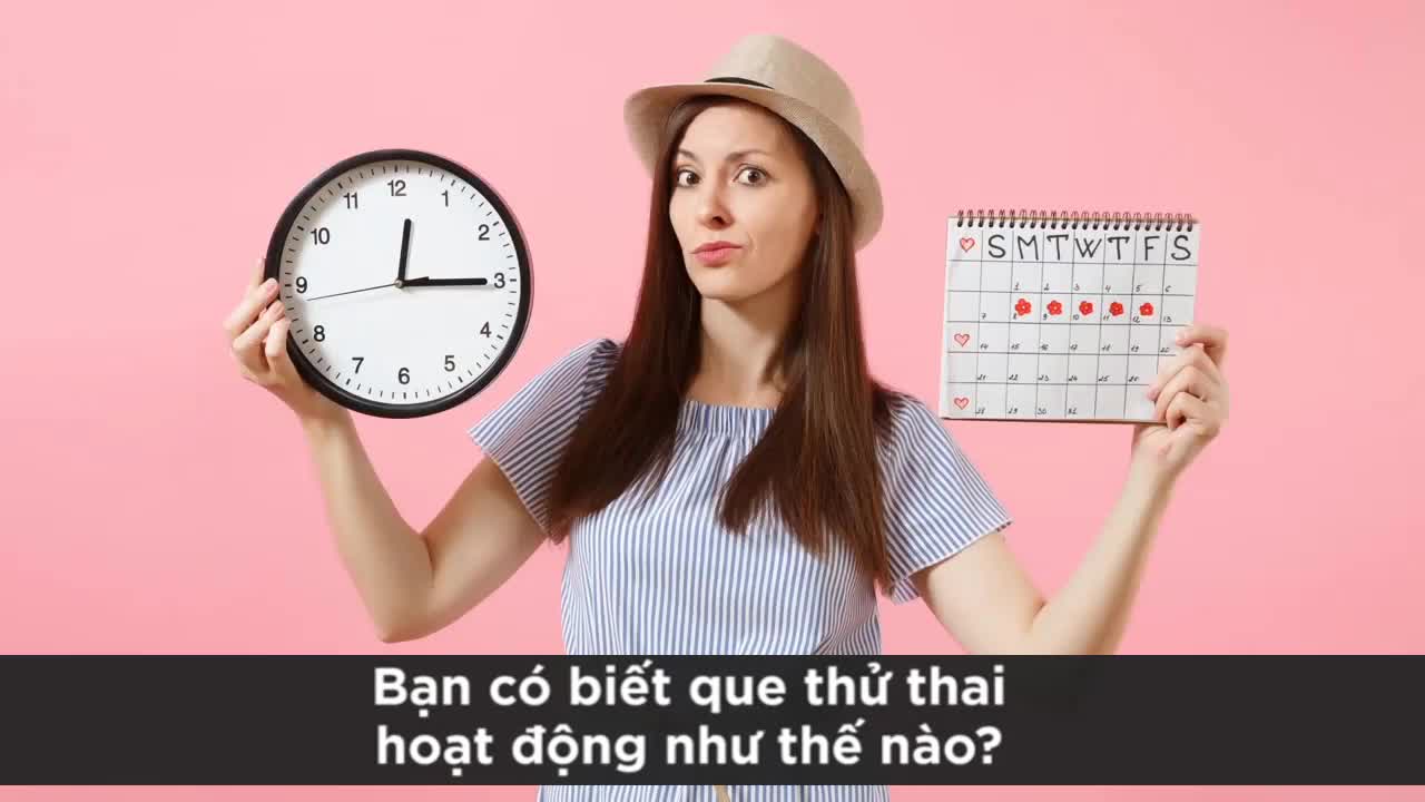 Cách que thử thai hoạt động