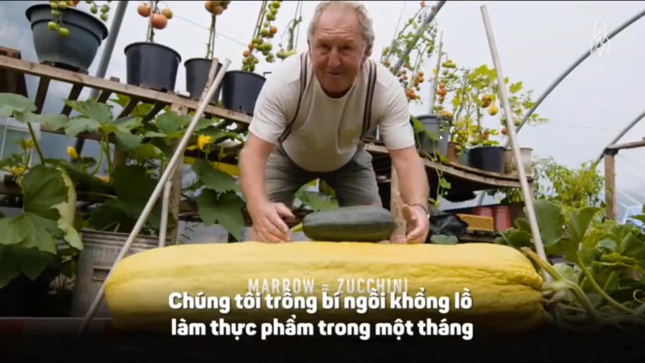 Khám phá khu vườn cổ tích toàn rau củ khổng lồ ngoài đời thực