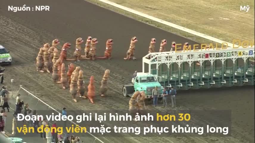 Hơn 30 vận động viên tranh giải 'khủng long nhanh nhất thế giới'