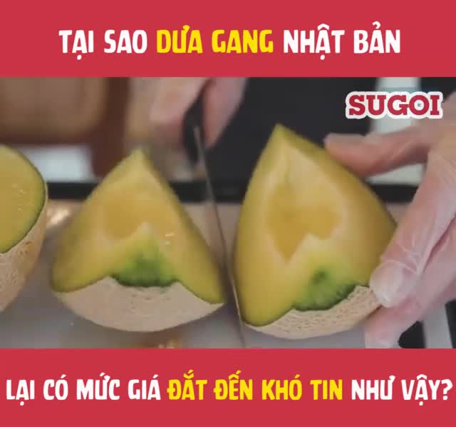 Tiết lộ lý do vì sao dưa gang Nhật lại có mức giá khó tin