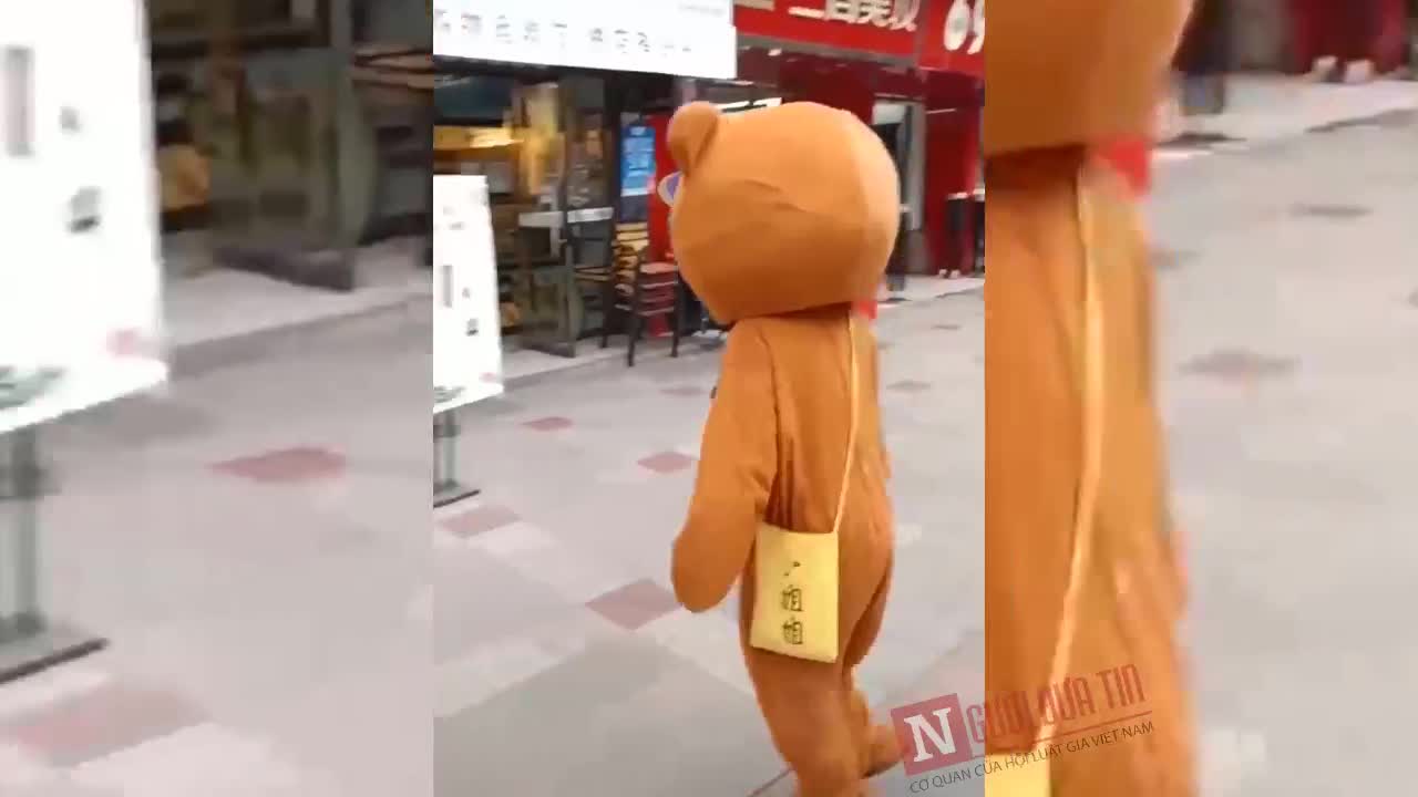 Khi gấu nâu là “thánh lầy lội”