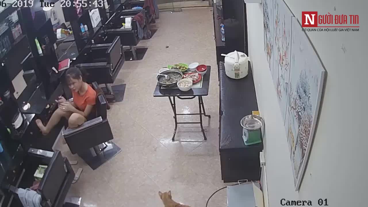 Chú chó húc đổ mâm cơm “náo loạn” mạng xã hội hôm nay