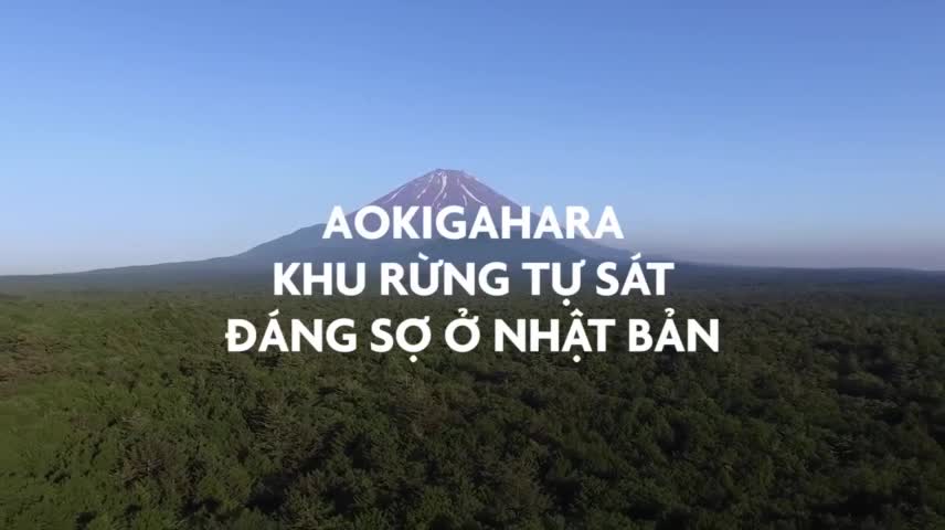 Khám phá khu rừng tự sát ngổn ngang dây treo cổ ở Nhật Bản
