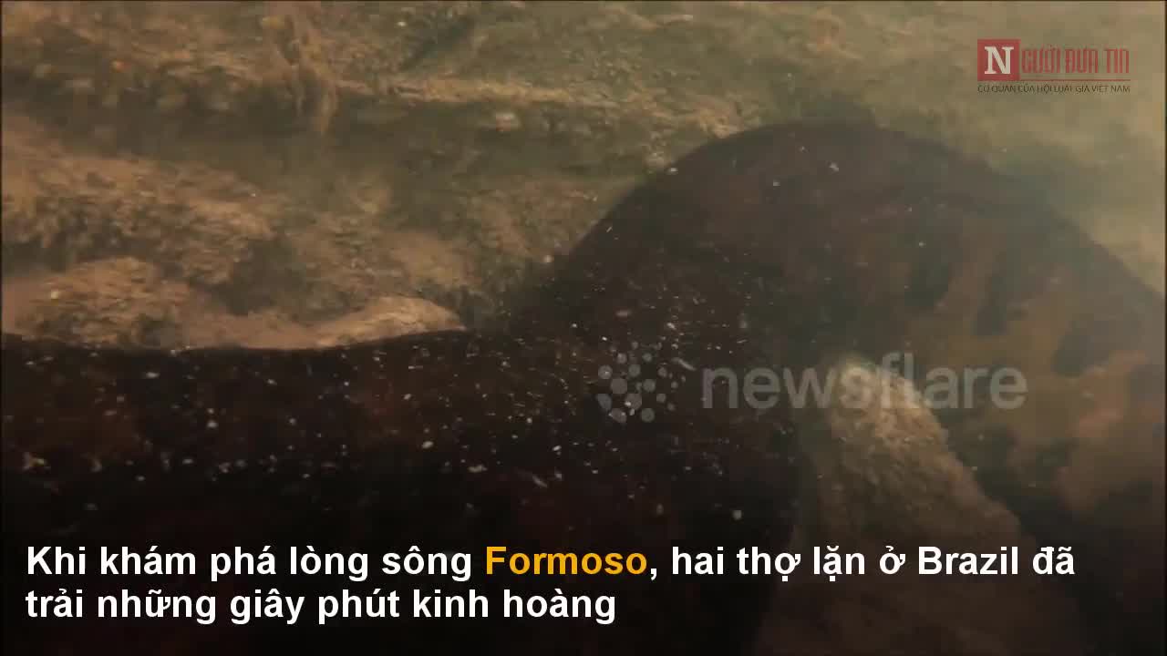 Khoảnh khắc kinh hoàng thợ lặn đối đầu trăn khổng lồ dưới lòng sông
