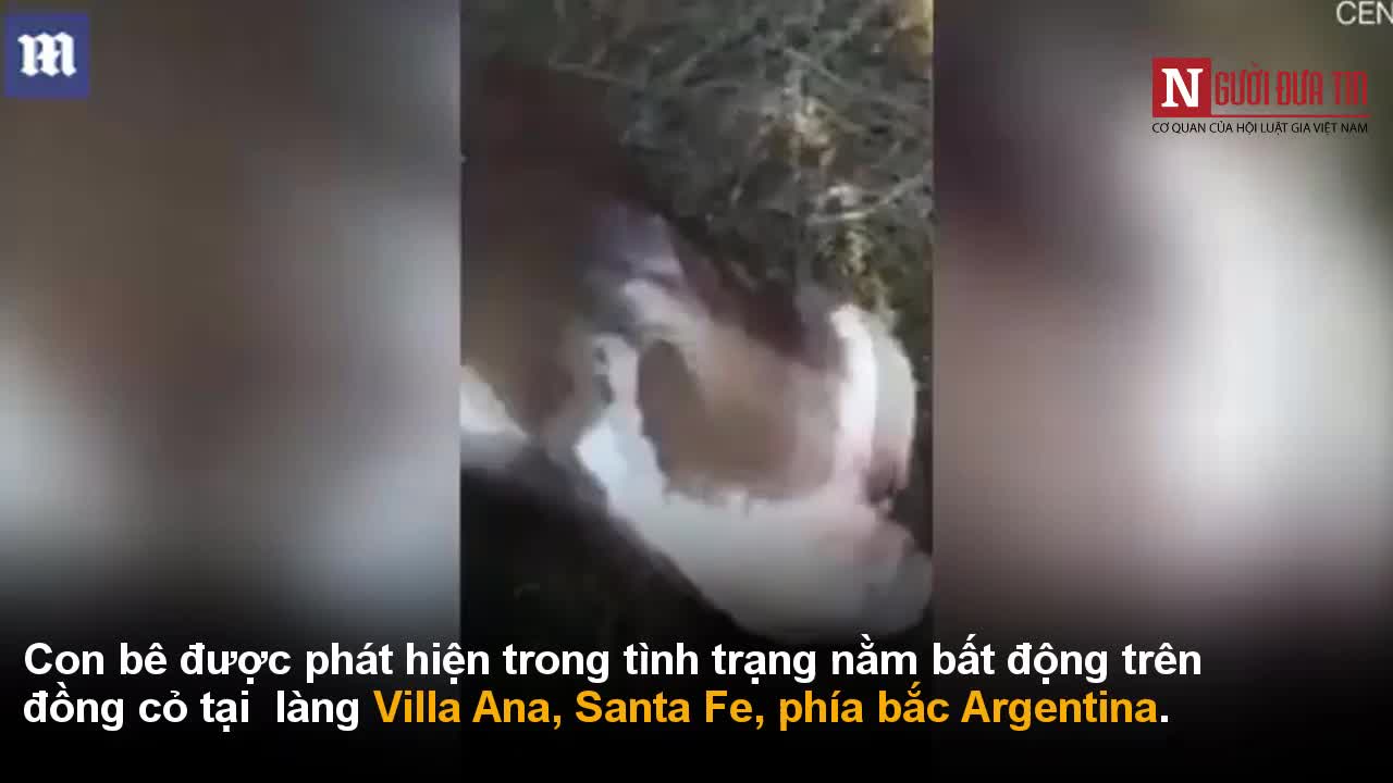 Kinh hãi con bê con chào đời với gương mặt người đau khổ