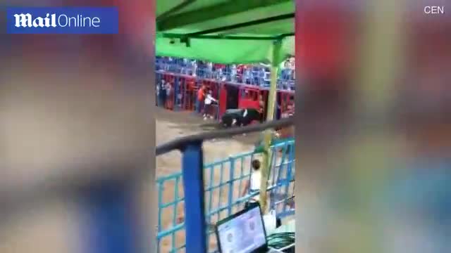 Ngã ngay trước mũi sừng bò tót, cậu bé 12 tuổi may mắn sống sót