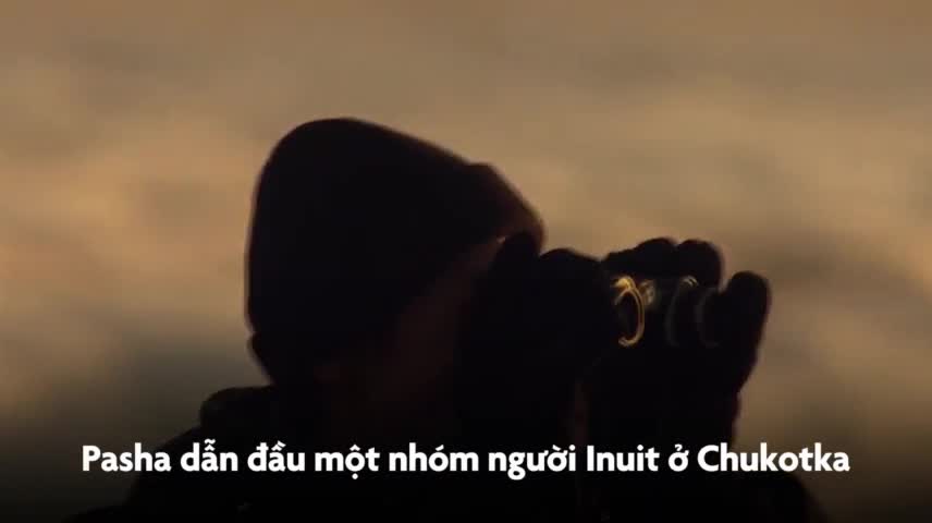  Con người săn bắt hải mã 2 tấn ở Bắc Cực như thế nào?
