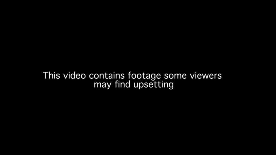 Video: Xác cá voi khổng lồ trôi dạt vào bở biển trở thành quả bom nổ chậm