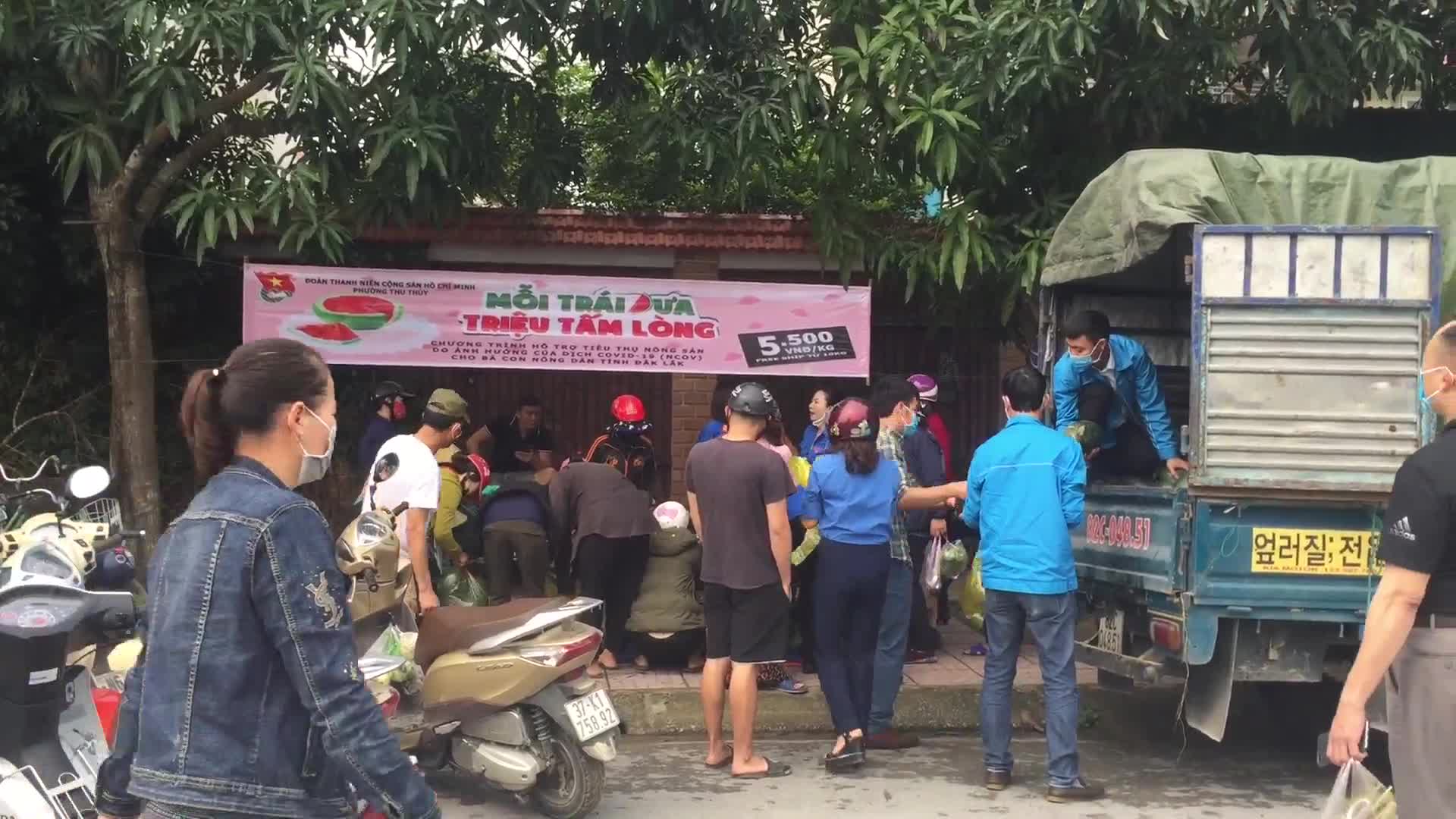Tuổi trẻ Nghệ An chung tay 'giải cứu' hàng chục tấn dưa hấu