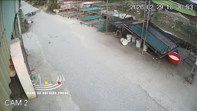 Clip: Chó bất ngờ lao sang đường khiến 2 người bị thương nặng