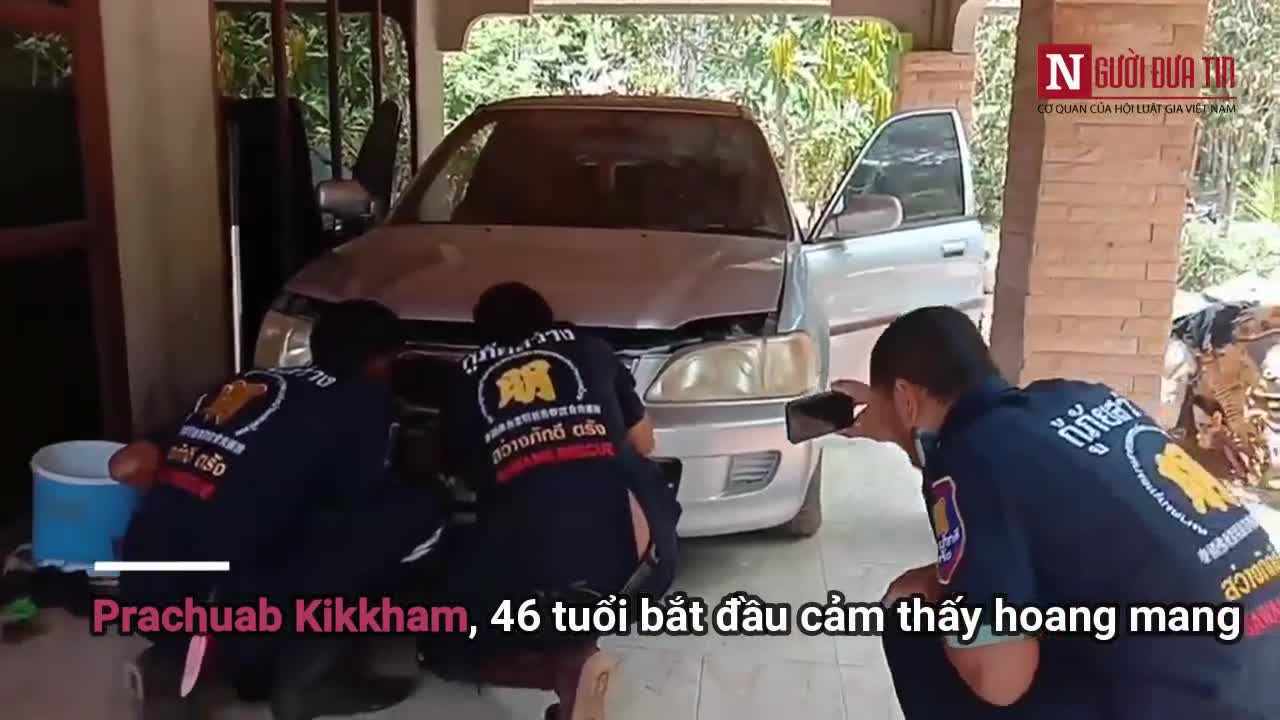 Hàng trăm người tụ tập xem bắt rắn hổ mang chúa khổng lồ