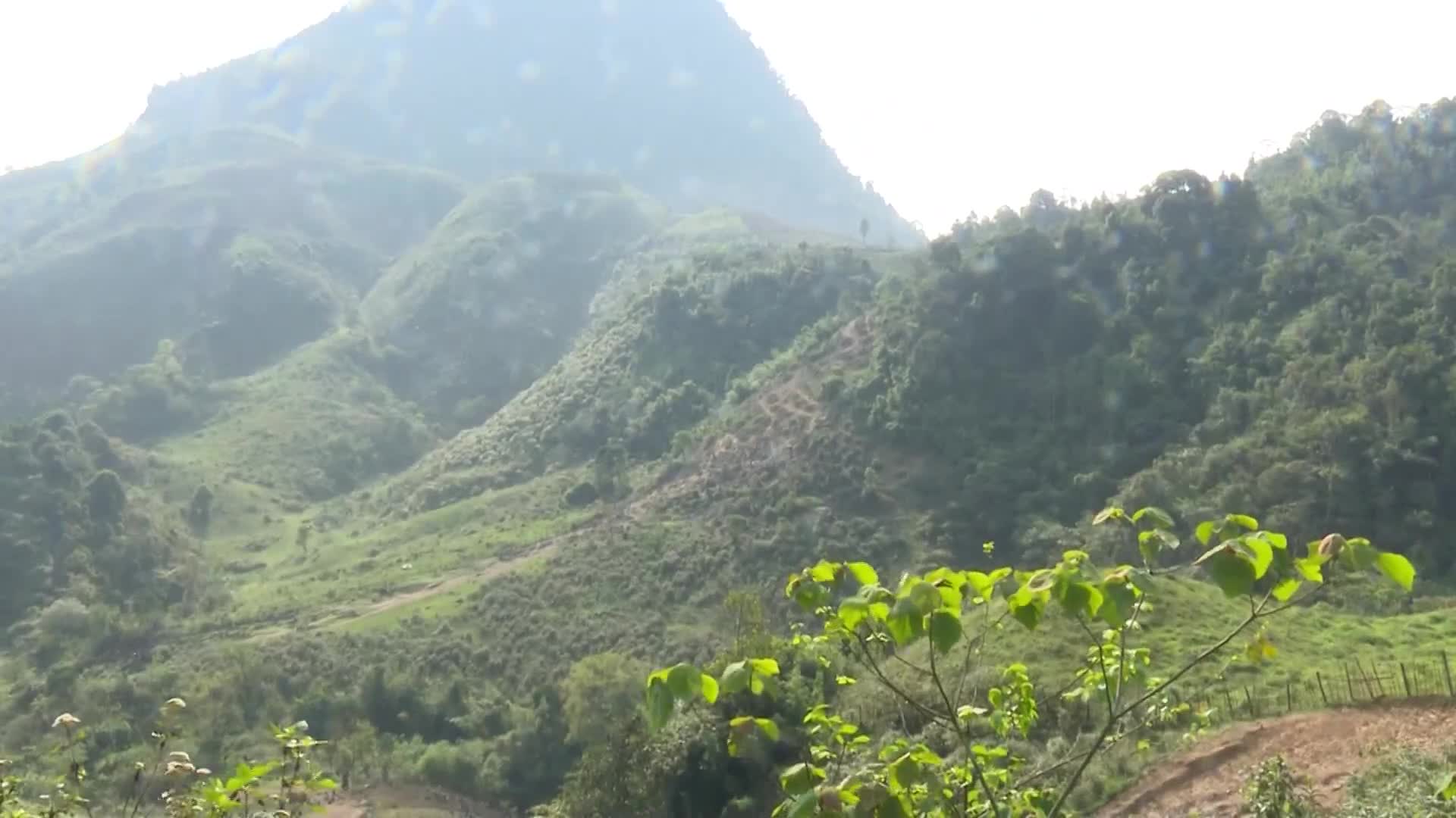 Vành đai thép ngăn chặn dịch vùng biên