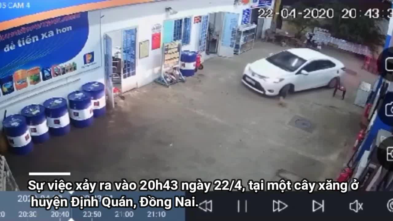 Clip: Vào đổ xăng, tài xế ô tô tiện tay trộm chó rồi ném luôn vào trong xe