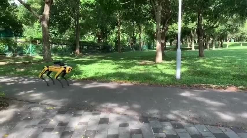 Robot ch&oacute; tuần tra trong c&ocirc;ng vi&ecirc;n ở Singapore
