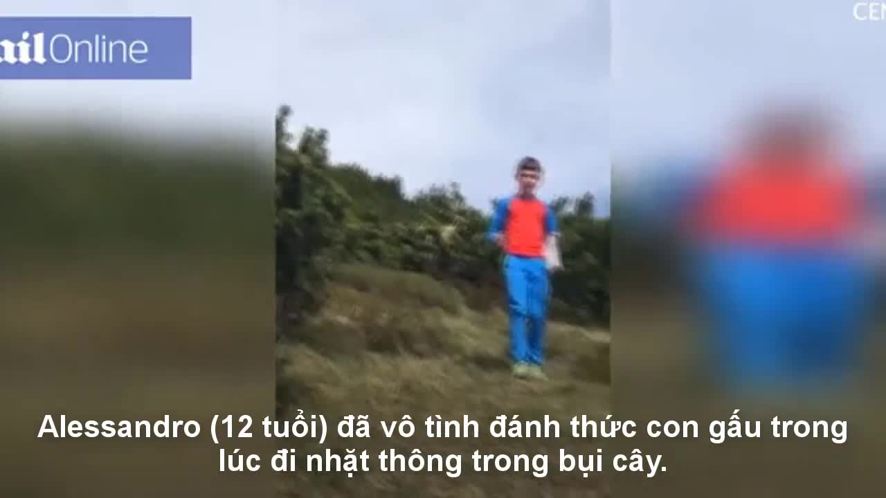 Sự bình tĩnh đến thản nhiên của bé trai khi chạm trán gấu nâu khổng lồ