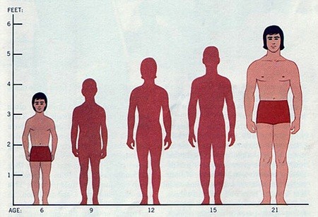 Xã hội - Việt Nam chi 600 tỷ giải mã bí ẩn gene để cải tạo giống nòi? (Hình 2).