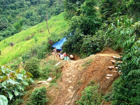 Xã hội - 'Vàng tặc' ngang nhiên tấn công trường học