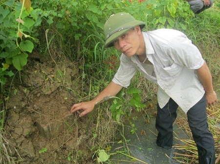 Xã hội - Cánh đồng xương khổng lồ ở Thanh Hóa