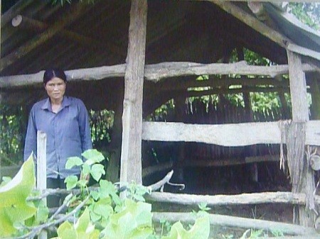 Ph&aacute;p luật - Bi h&agrave;i hai cấp t&ograve;a chưa xử xong vụ kiện con tr&acirc;u 'đi lạc'