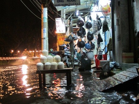 Nhịp sống - Thành phố Hồ Chí Minh: Bó tay trước nạn triều cường?