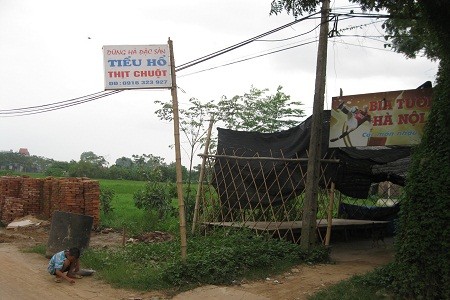 Xã hội - Trắng đêm đi săn cùng “vua chuột” đất Bắc (Hình 2).