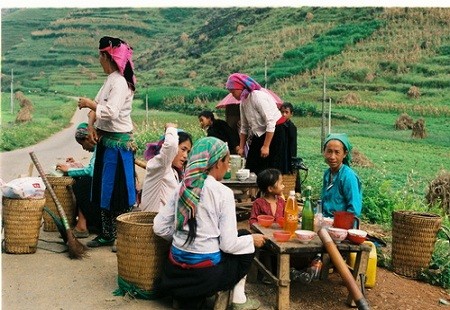 Pháp luật - Mang án tù vì chữa sâu răng bằng... ma túy