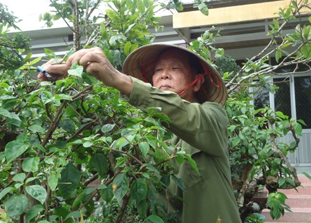 Pháp luật - Người vợ tần tảo của vị tướng lừng danh