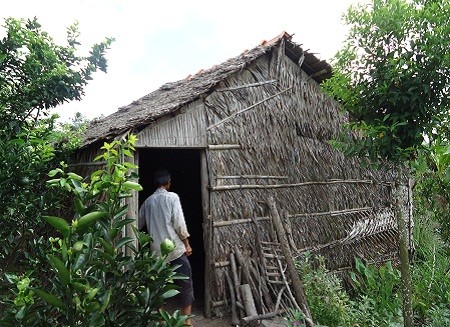 Pháp luật - Cặp tình nhân già và chảo tép rang trộn thuốc trừ sâu