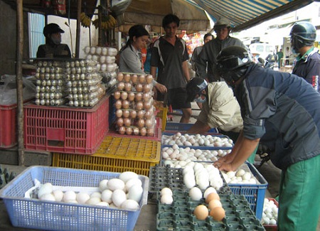 Pháp luật - 'Cấy' bệnh cho chồng vì mua 'thần dược' trứng ung