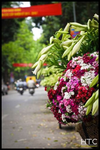 Xã hội - Những bí mật thú vị về thành phố du lịch VN (Hình 4).