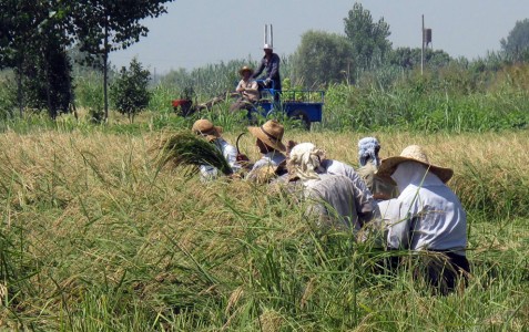 Thế giới - Iran yên bình qua ống kính các nhiếp ảnh gia (Hình 9).