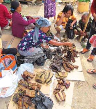 Sự kiện - Nhộn nhịp phiên chợ trâu Pasar Bolu (Hình 2).