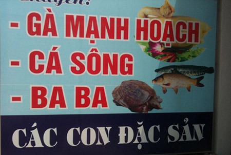 Pháp luật - Cười rụng rốn với những hình ảnh siêu hài hước (phần 6) (Hình 10).