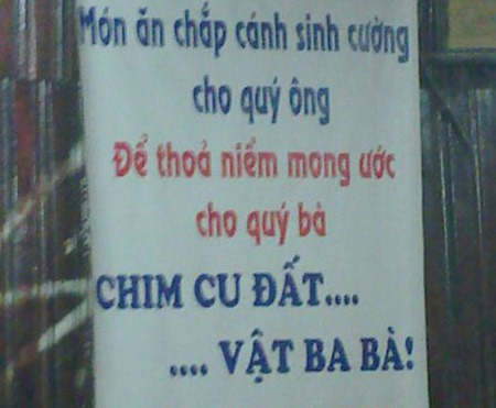 Pháp luật - Cười rụng rốn với những hình ảnh siêu hài hước (phần 6) (Hình 11).