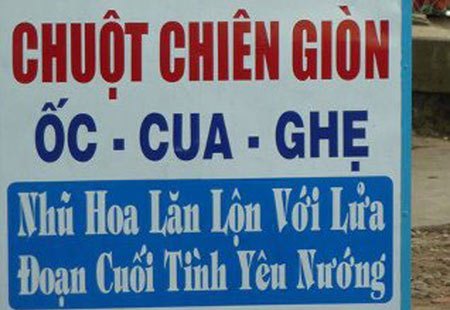 Xã hội - Cười rụng rốn với những hình ảnh siêu hài hước (phần 4) (Hình 14).