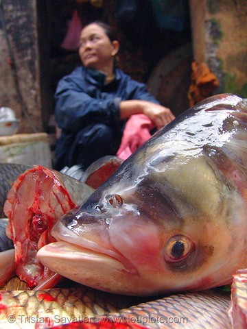 Xã hội - Lợn há mồm, gà chổng mông Việt Nam lên báo Tây (Hình 9).