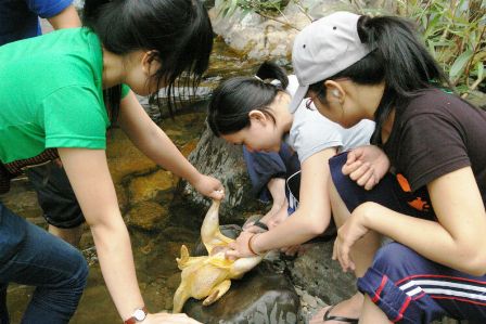 Việt Nam Xanh - Khám phá rừng nguyên sinh phía Tây Đà Nẵng (Hình 14).