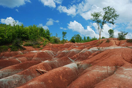 Xã hội - Vùng đất đỏ lạ kỳ ở Canada (Hình 5).