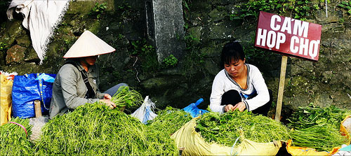 Xã hội - Khoảnh khắc 'chộp' được trong ngày nghỉ (Hình 5).