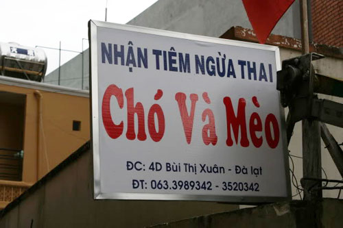 Xã hội - Khoảnh khắc 'chộp' được trong ngày nghỉ (Hình 12).