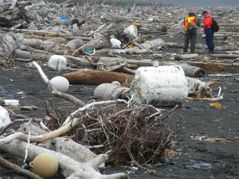 Thế giới - Alaska ngập ngụa trong rác sóng thần Nhật Bản