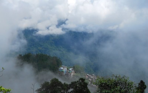 Xã hội - Những ngày mù sương ở Darjeeling (Hình 12).