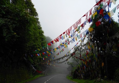 Xã hội - Những ngày mù sương ở Darjeeling (Hình 17).