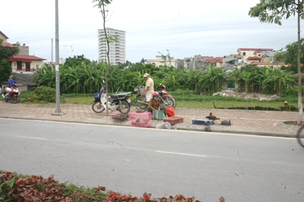 Bất động sản - Kè Hồ Tây, dân phân ô, kẻ chỉ lấn chiếm vỉa hè (Hình 4).