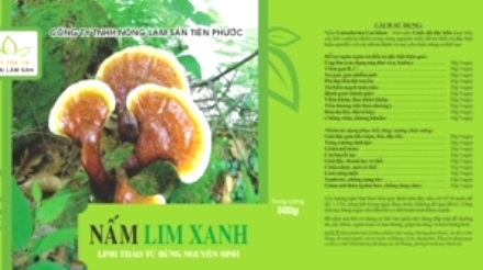 Xã hội - Nguồn gốc kỳ lạ nấm lim xanh chữa ung thư (Hình 3).