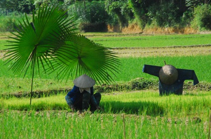 Xã hội - Còn đó những nỗi đau khi “bão AIDS” về làng (Hình 3).