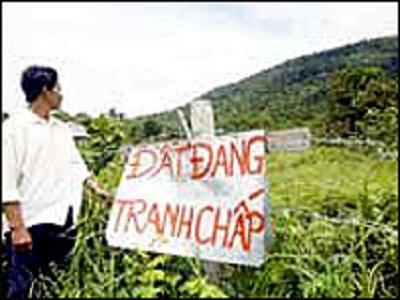Pháp luật - Chuyện bi hài kể từ luật sư tư vấn