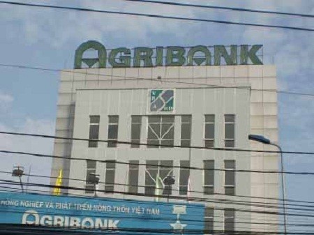 Pháp luật - Nguyên cán bộ tín dụng Agribank bị truy tố vì lừa đảo