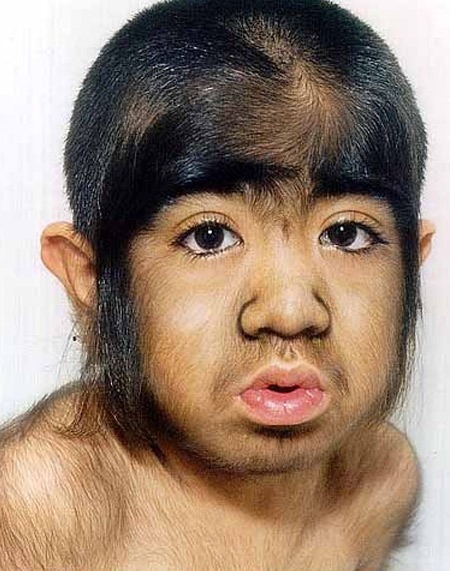 Pháp luật - Những “Tôn Ngộ Không” ngoài đời thực