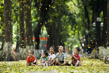 Xã hội - Mùa lá rụng trên phố